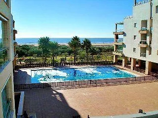 Leo Alcaudon-alcaravan Hotel Isla Canela