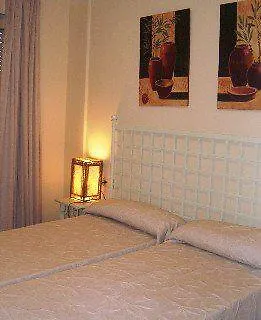 Leo Alcaudon-alcaravan Hotel Isla Canela