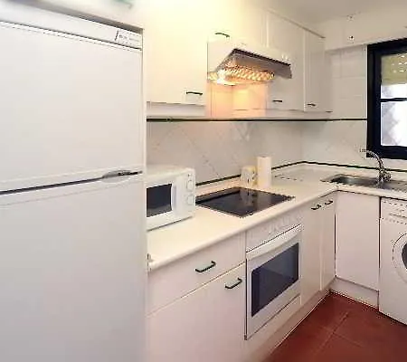 Leo Alcaudon-alcaravan 4*